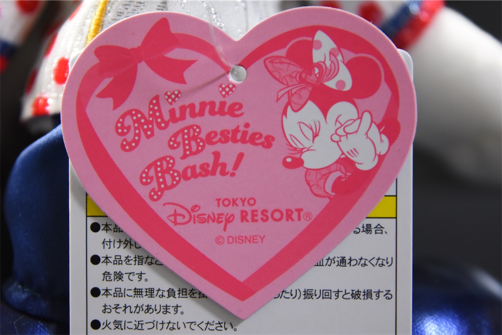 f:id:TDR_mickey1118:20230121225844j:image