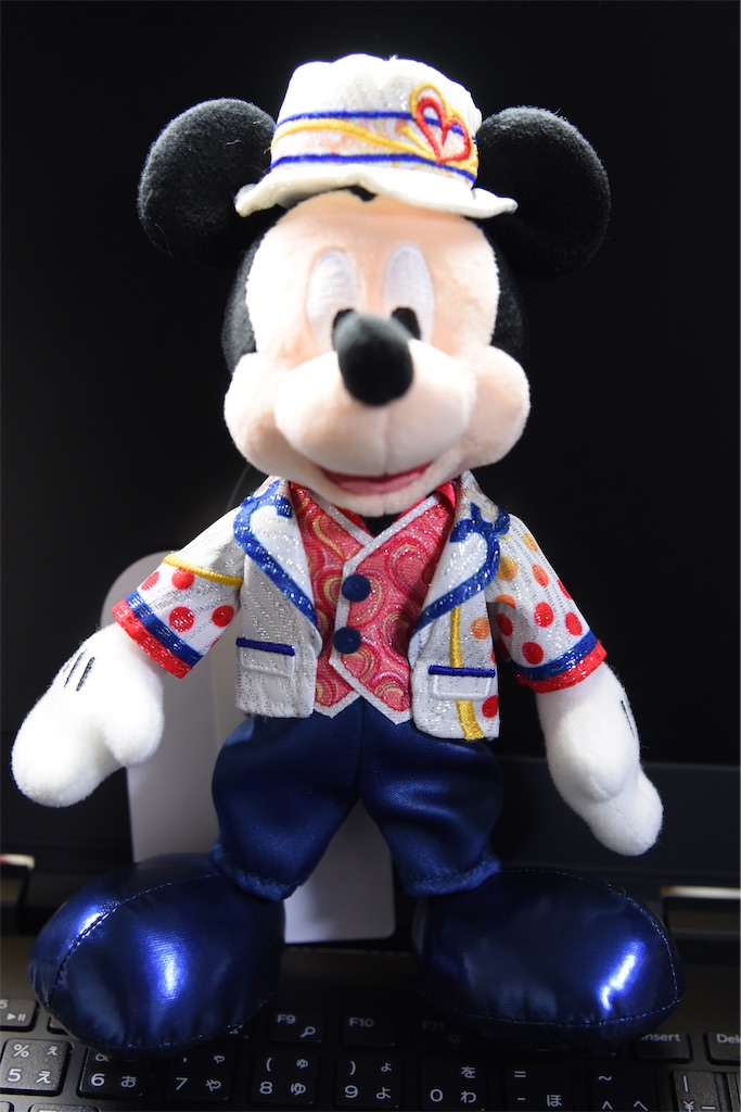 購入品】ミニー・ベスティーズ・バッシュ！スペシャルグッズ購入品を