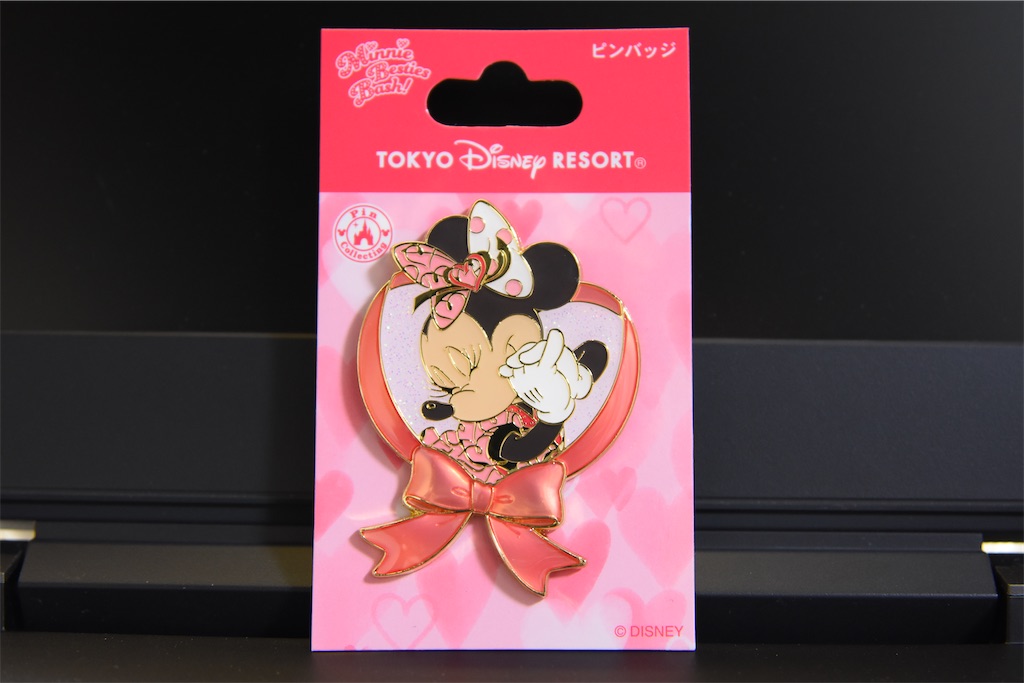 f:id:TDR_mickey1118:20230122001001j:image
