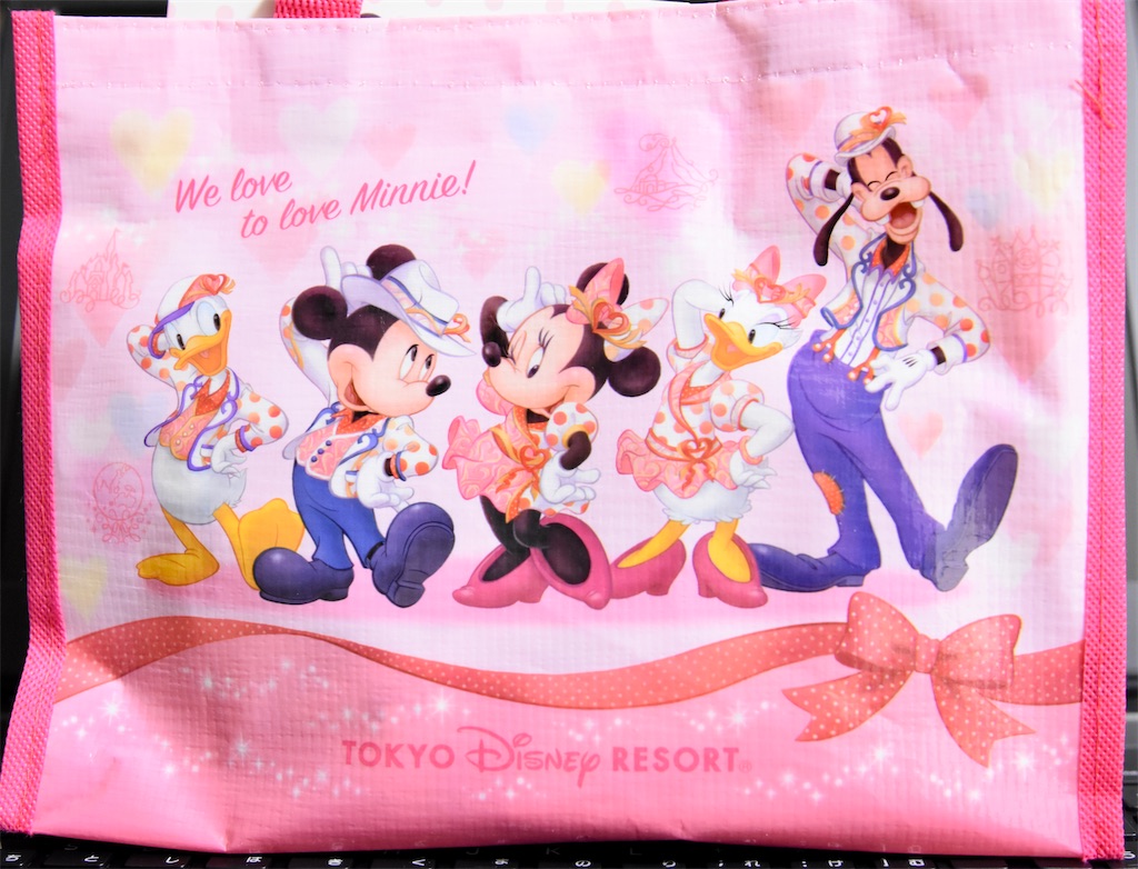 f:id:TDR_mickey1118:20230122074549j:image