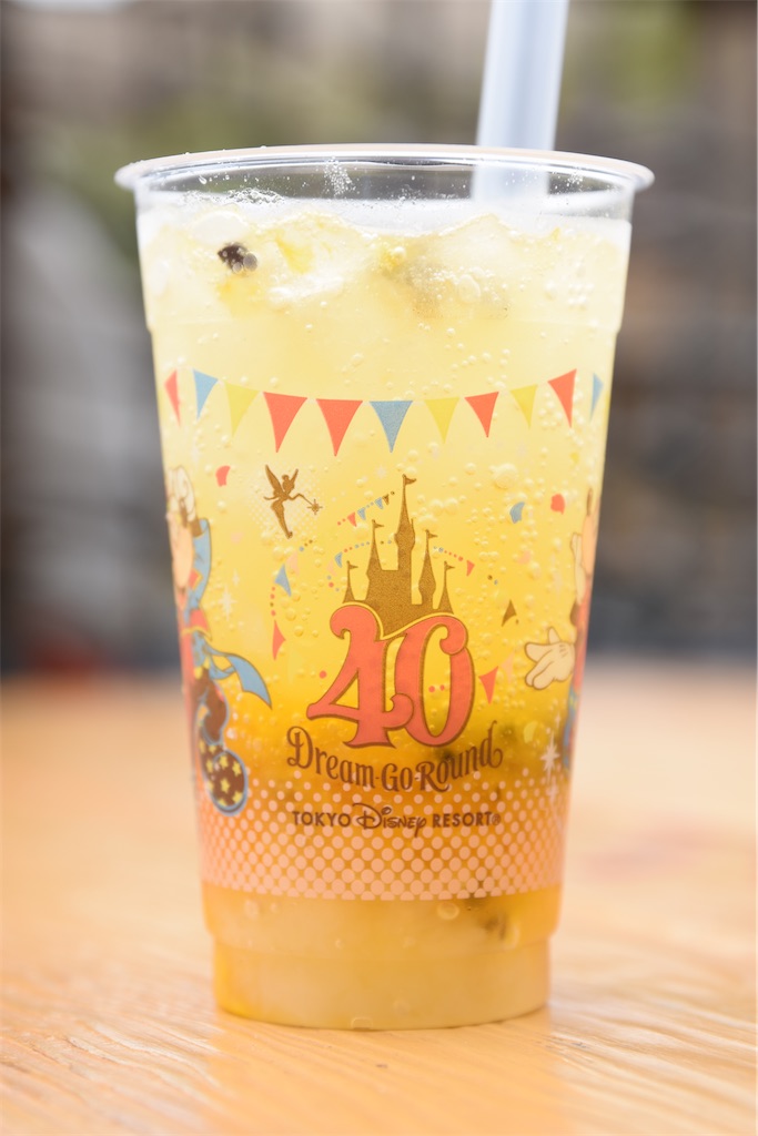f:id:TDR_mickey1118:20230423081431j:image