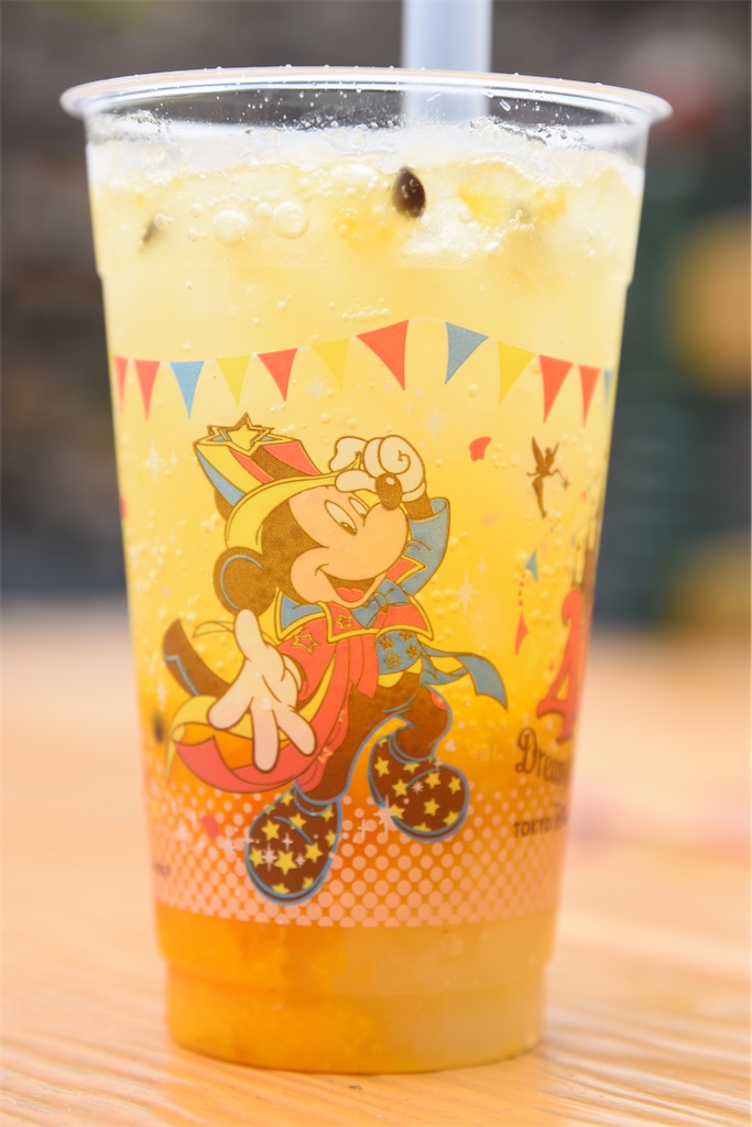 f:id:TDR_mickey1118:20230423081434j:image