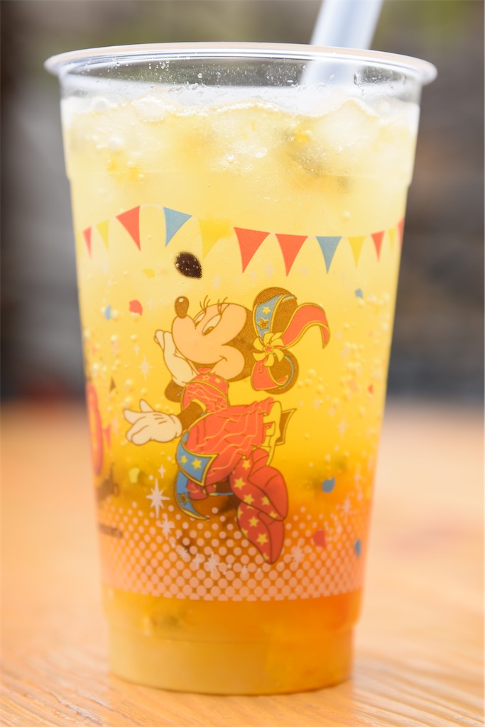 f:id:TDR_mickey1118:20230423081440j:image