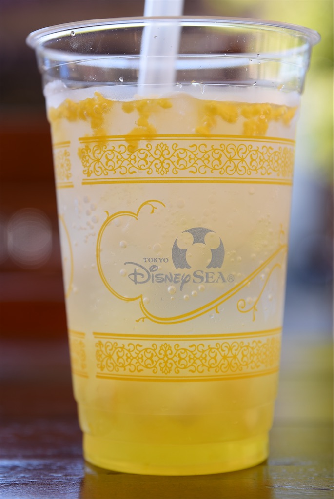 f:id:TDR_mickey1118:20240429213242j:image