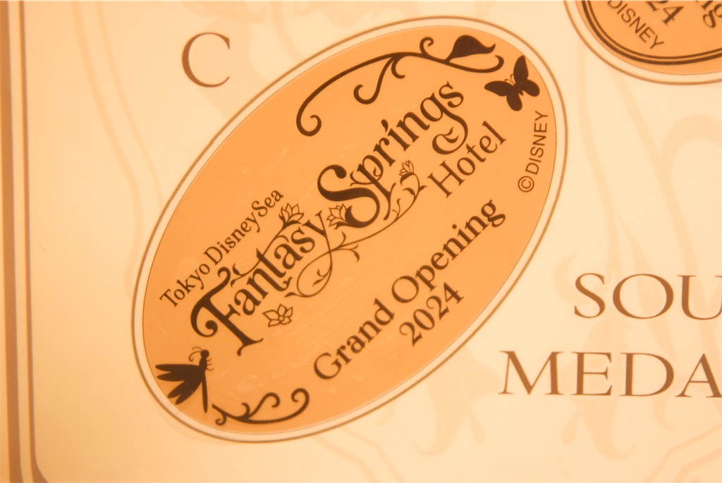 f:id:TDR_mickey1118:20240801012854j:image