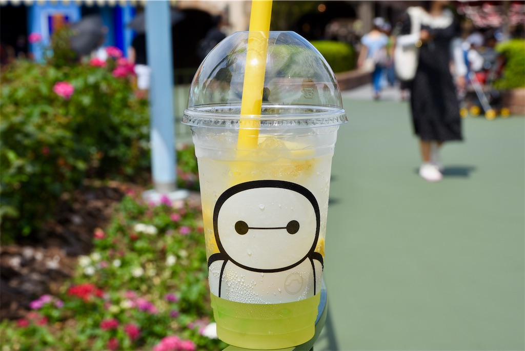f:id:TDR_mickey1118:20240809140619j:image