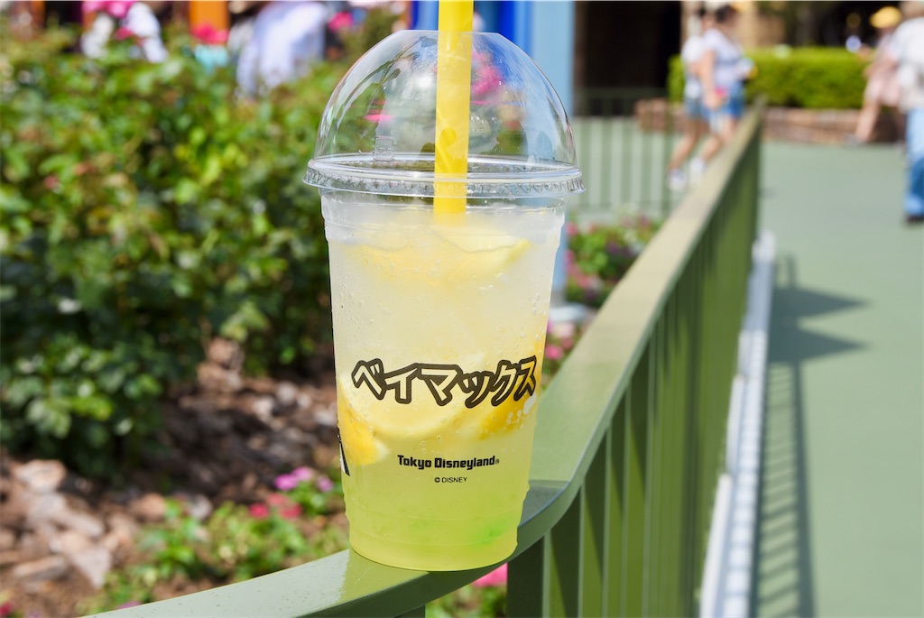 f:id:TDR_mickey1118:20240809140622j:image