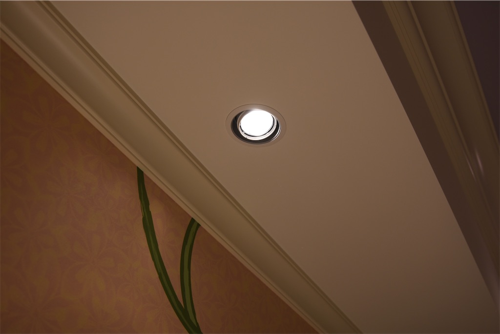 f:id:TDR_mickey1118:20240816235216j:image f:id:TDR_mickey1118:20240816235216j:image