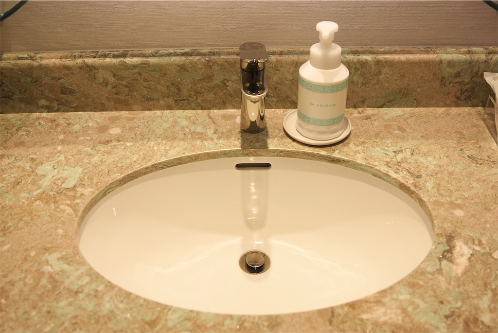 f:id:TDR_mickey1118:20240817173811j:image f:id:TDR_mickey1118:20240817173811j:image