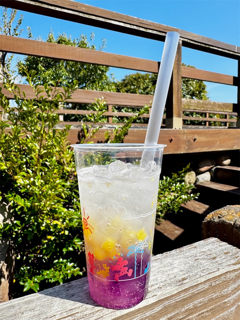 f:id:TDR_mickey1118:20260411114540j:image