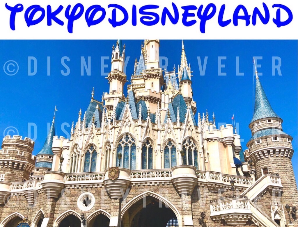 休止施設 運営休止となる施設情報まとめ Disneytraveler