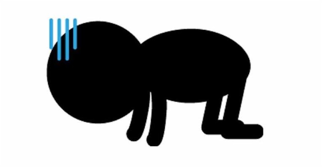 f:id:TDY:20201214164436j:image f:id:TDY:20201214164436j:image