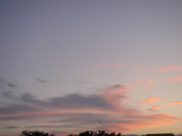 f:id:TEAM-L:20090814185325j:image:left f:id:TEAM-L:20090814185325j:image:left