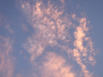 f:id:TEAM-L:20090815224339j:image:left f:id:TEAM-L:20090815224339j:image:left
