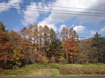 JR山田線　車窓風景　141019