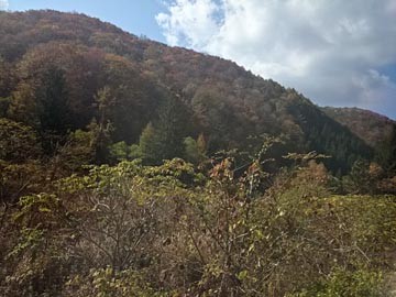 JR山田線　車窓風景　141019