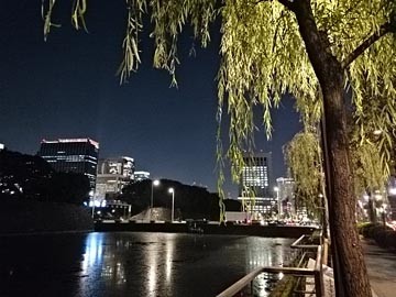 141029夜　皇居のお堀　柳