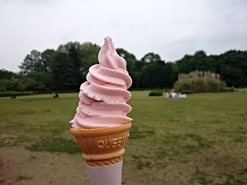 ﾊﾞﾗｿﾌﾄ　神代植物公園