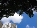 160829　快晴　青空