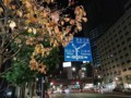 161203　紅葉　東京　夜