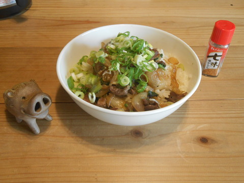 DSCN1508