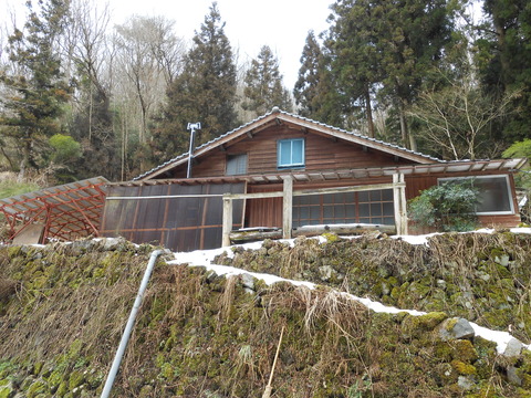 DSCN0951