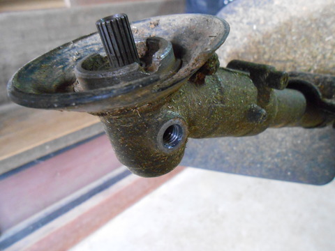 DSCN1351