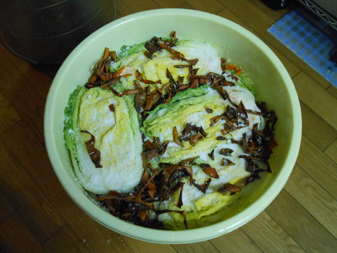 DSCN0727