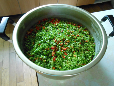 DSCN1342