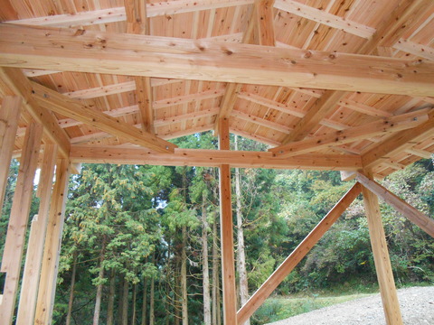 DSCN0134