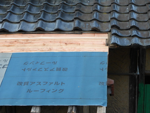 DSCN0994