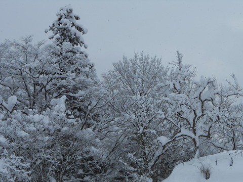 DSCN1630