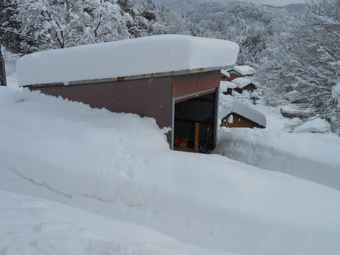 DSCN1625