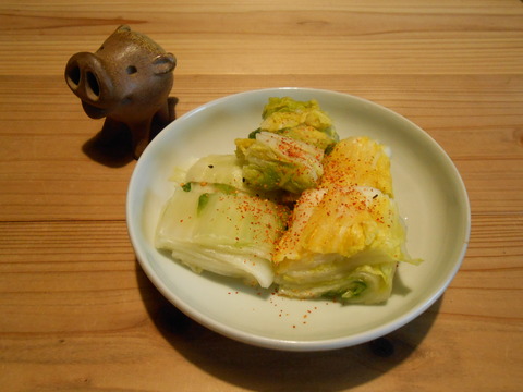 DSCN0751