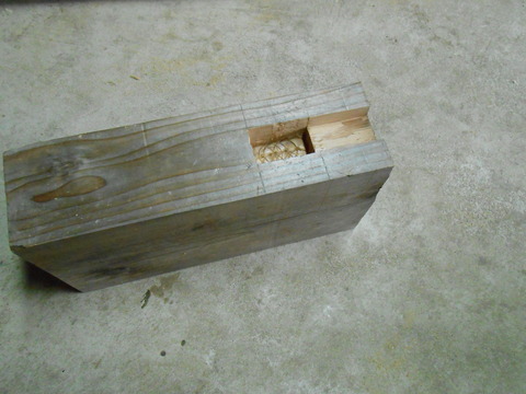 DSCN1415