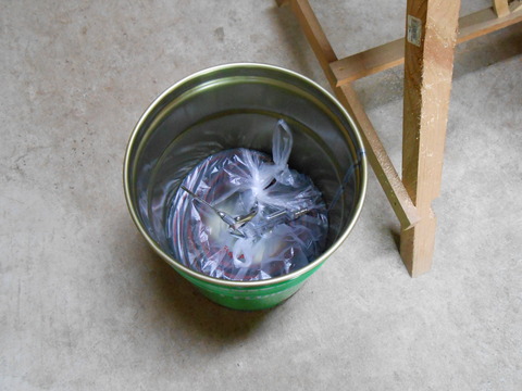 DSCN2686