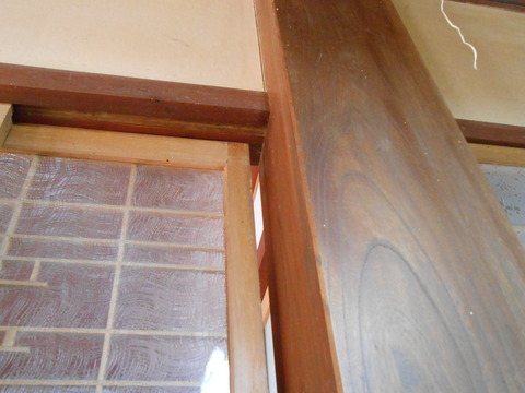 DSCN0802