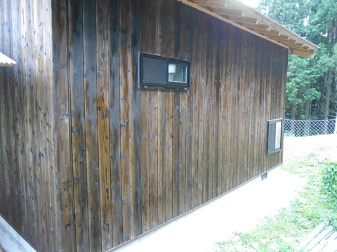 DSCN1282