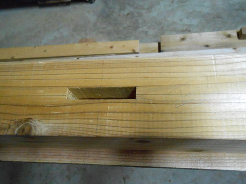DSCN1673