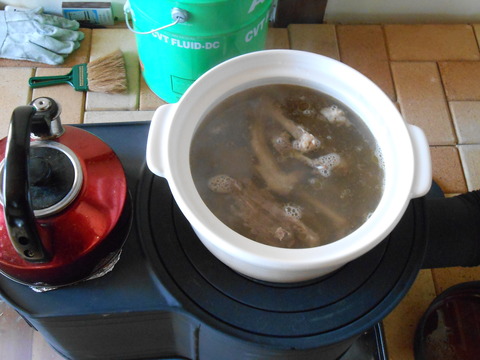 DSCN0919