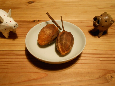 DSCN2177