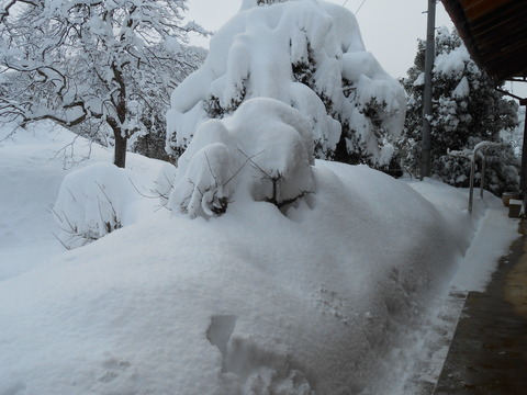 DSCN1626