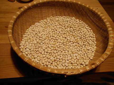 DSCN2178