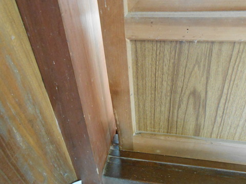 DSCN0806