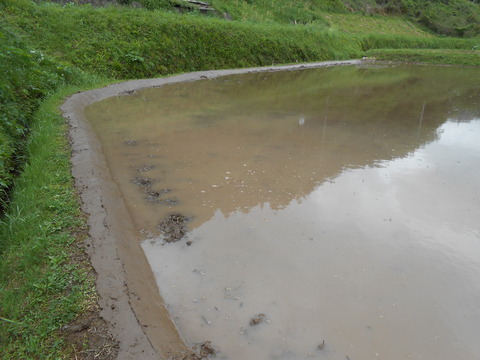 DSCN2521