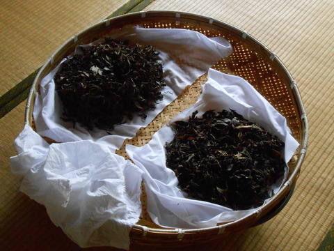 DSCN1034