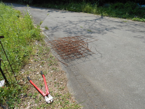 DSCN1858