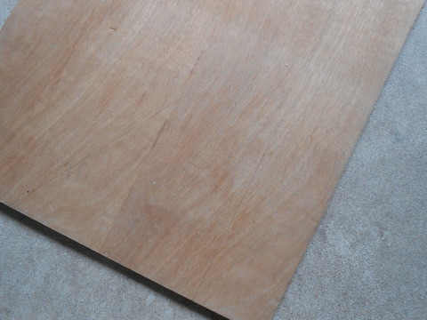DSCN1197