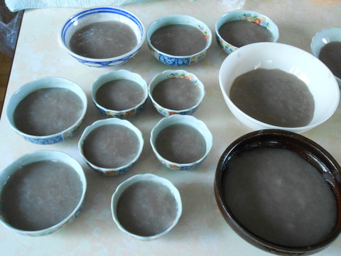 DSCN0689