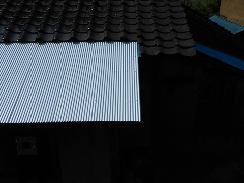 DSCN0998